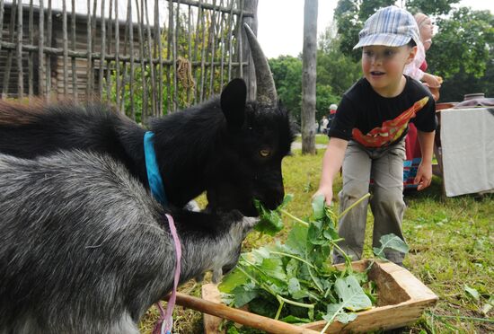 Novgorod Region celebrates Savior regional festival