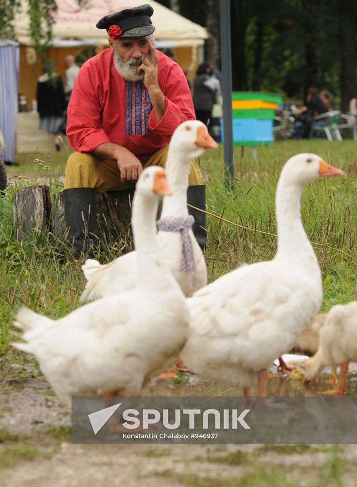 Novgorod Region celebrates Savior regional festival