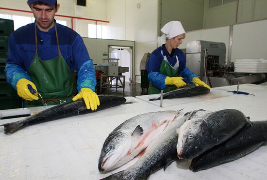 Atlantis fish-processing plant