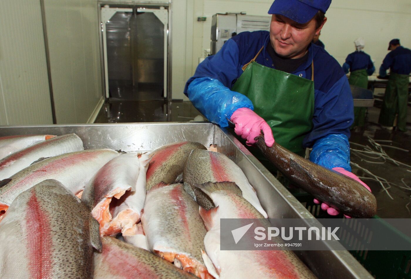 Atlantis fish-processing plant