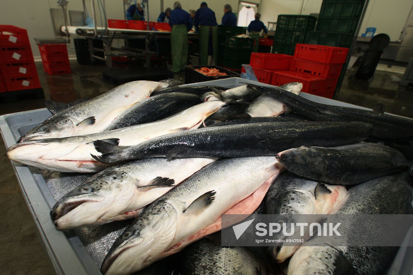 Atlantis fish-processing plant