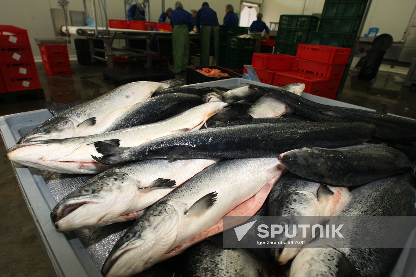 Atlantis fish-processing plant