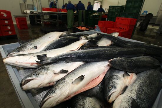 Atlantis fish-processing plant