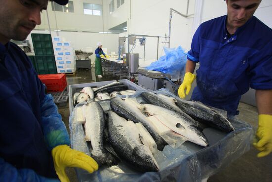 Atlantis fish-processing plant