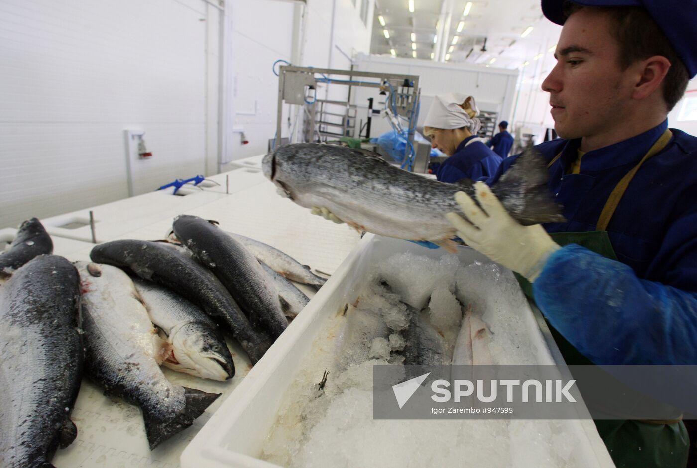 Atlantis fish-processing plant