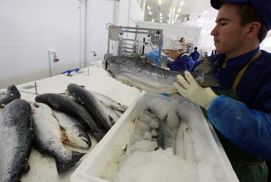 Atlantis fish-processing plant