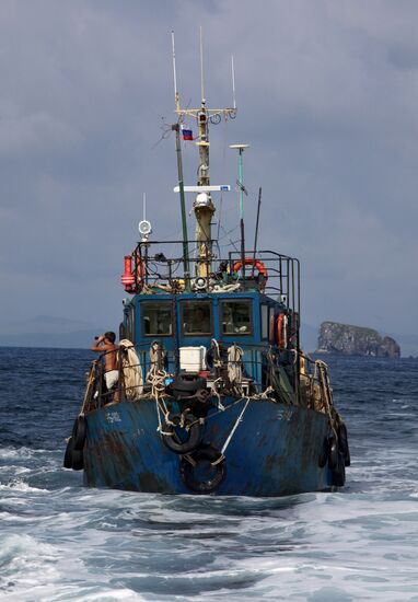 Hunting for sharks in Primorye
