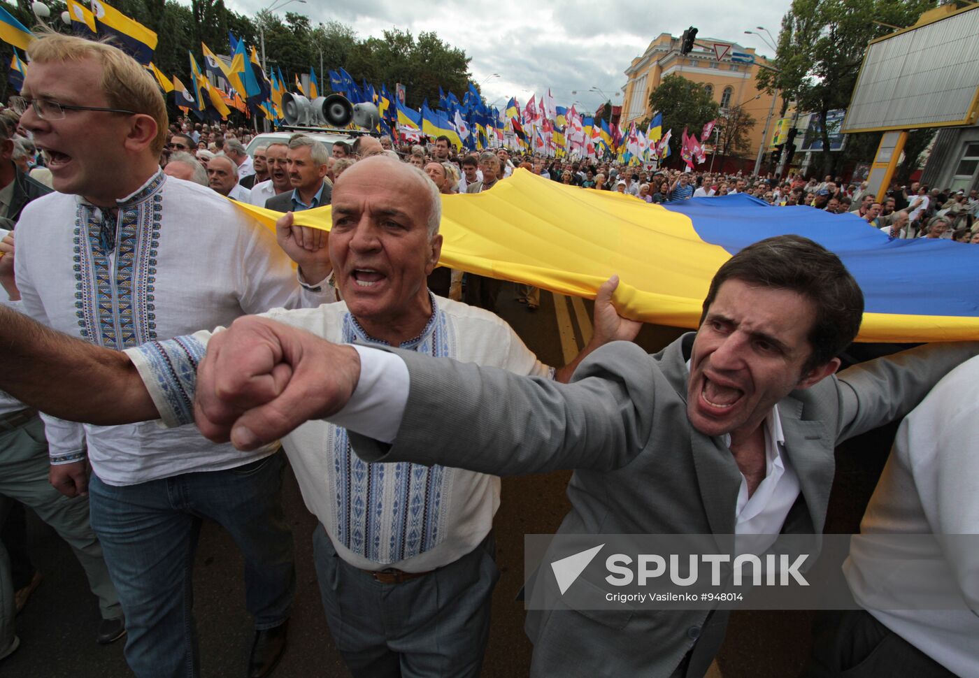 Ukrainian opposition movements stage rally on Independence Day
