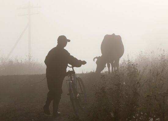 Early on a misty morning in Ismailovsky village