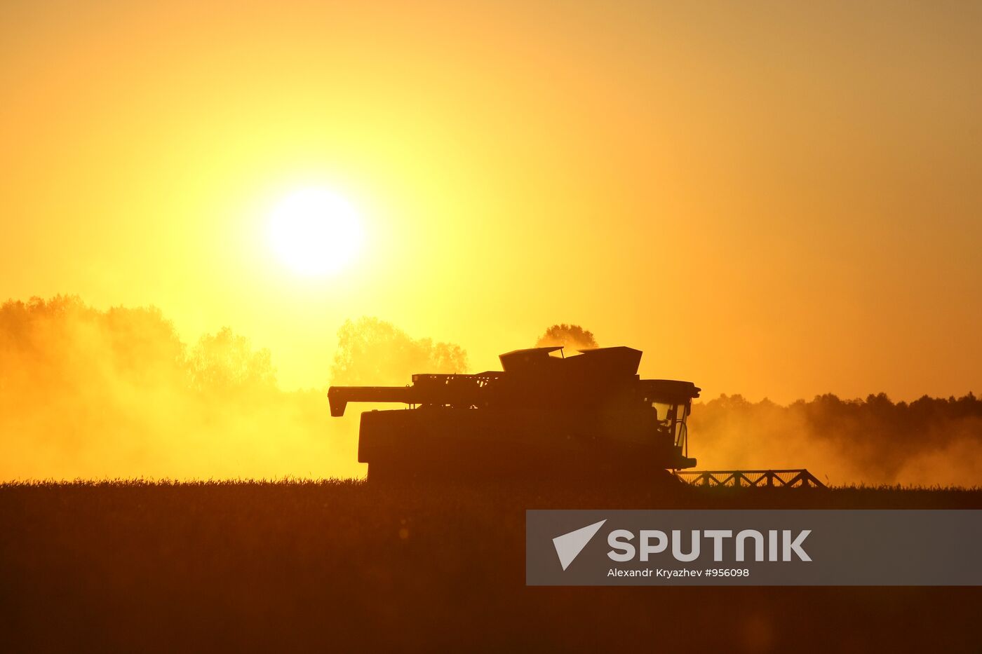 Harvesting wheat in Novosibirsk Region