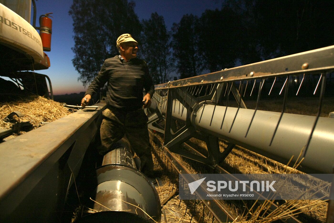 Harvesting wheat in Novosibirsk Region