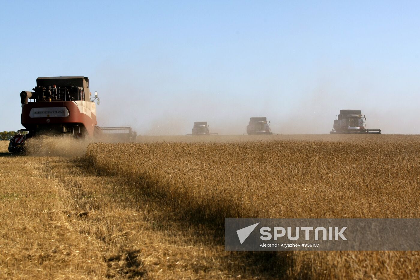 Harvesting wheat in Novosibirsk Region