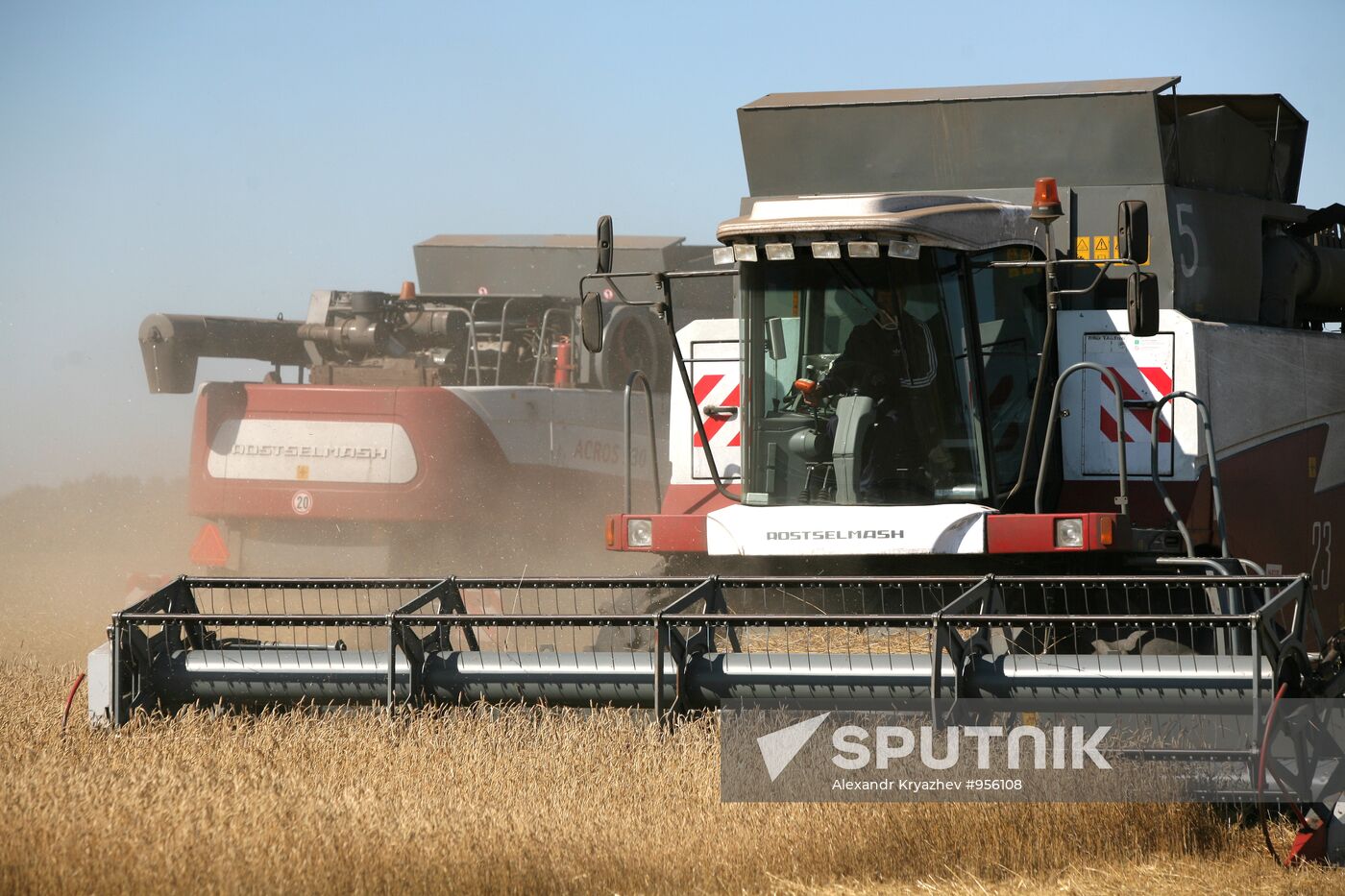 Harvesting wheat in Novosibirsk Region