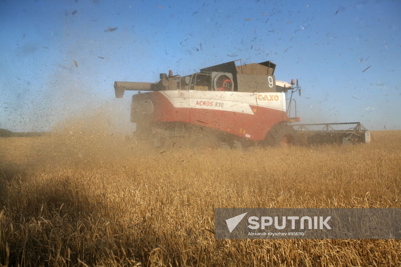 Harvesting wheat in Novosibirsk Region