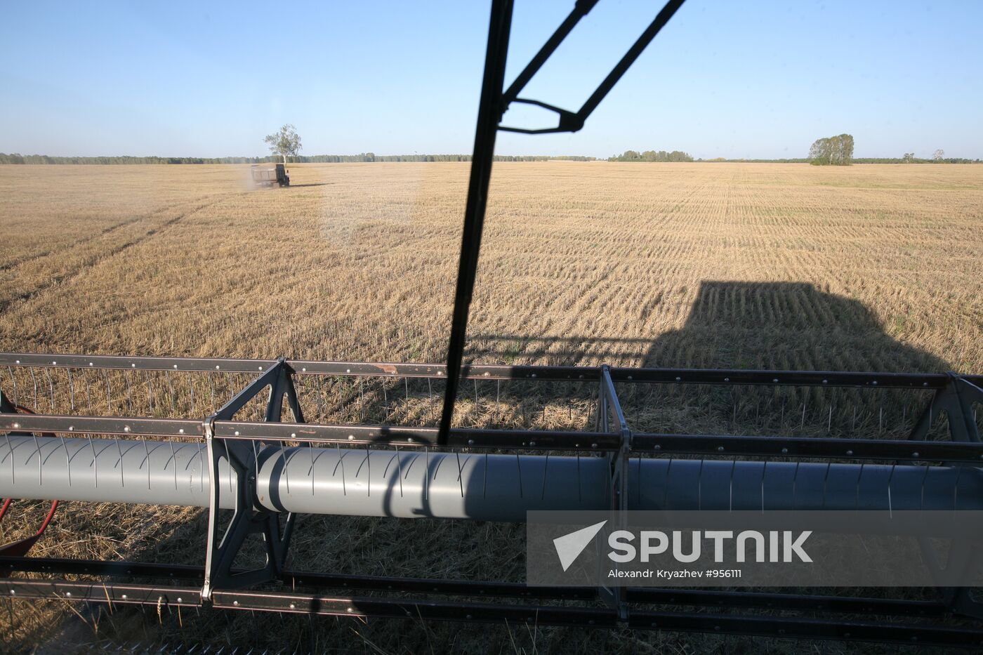 Harvesting wheat in Novosibirsk Region
