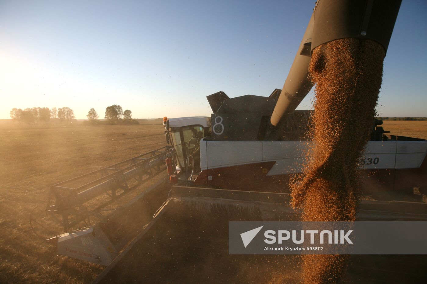 Harvesting wheat in Novosibirsk Region