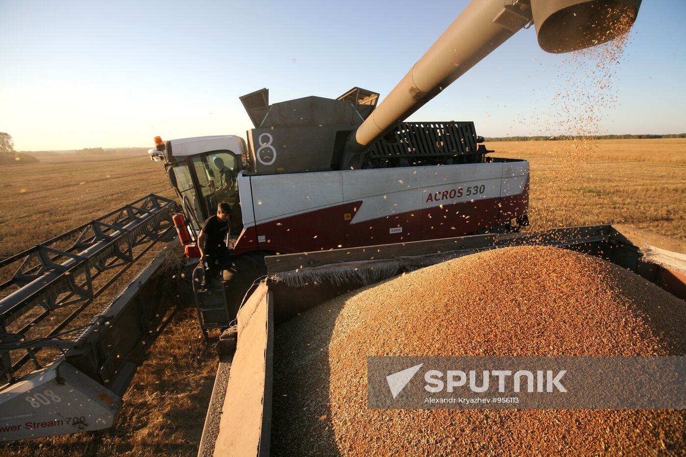 Harvesting in Novosibirsk Region