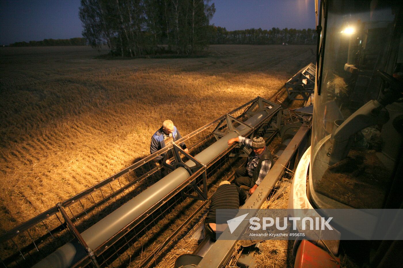 Harvesting wheat in Novosibirsk Region