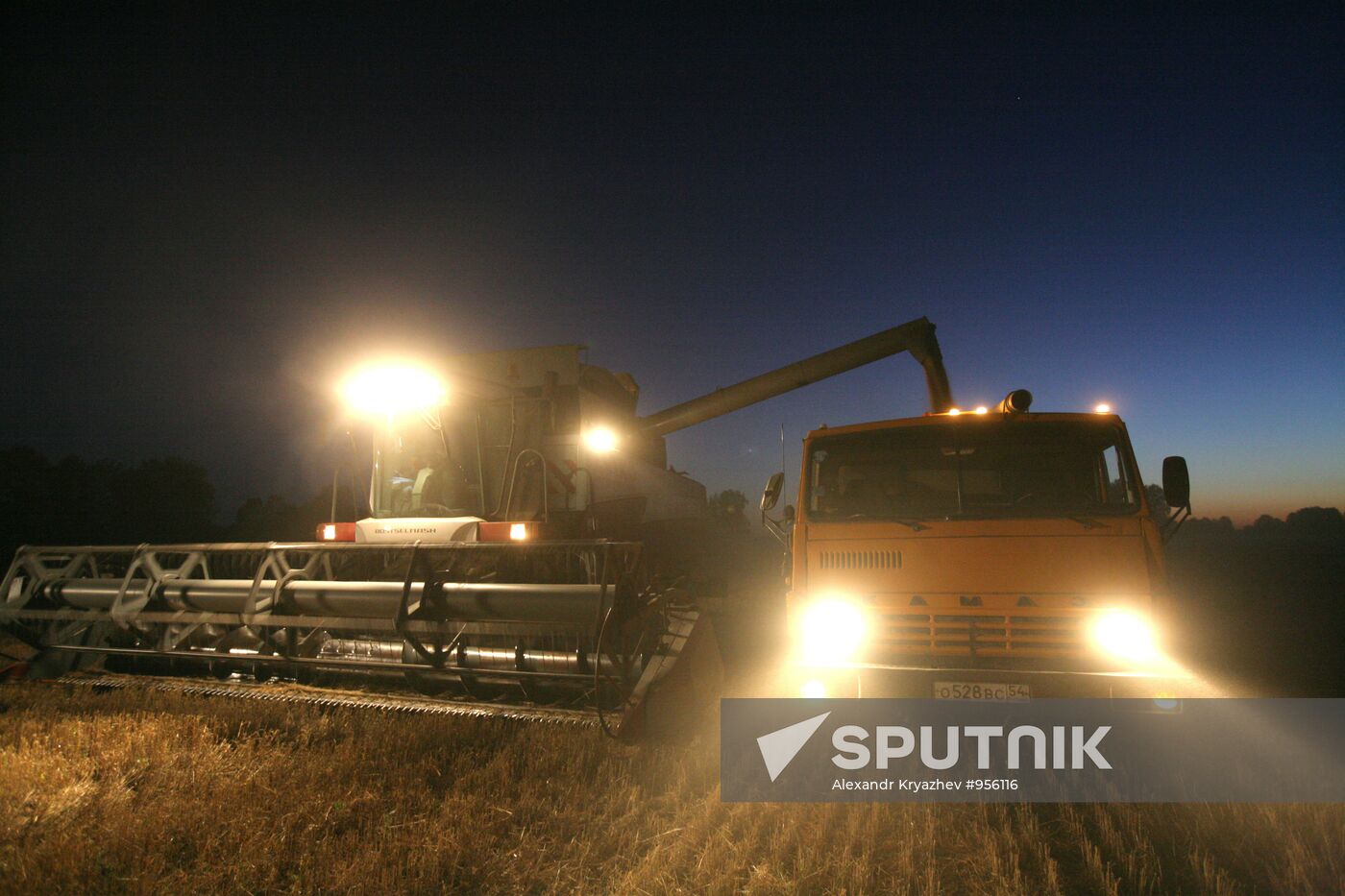 Harvesting wheat in Novosibirsk Region