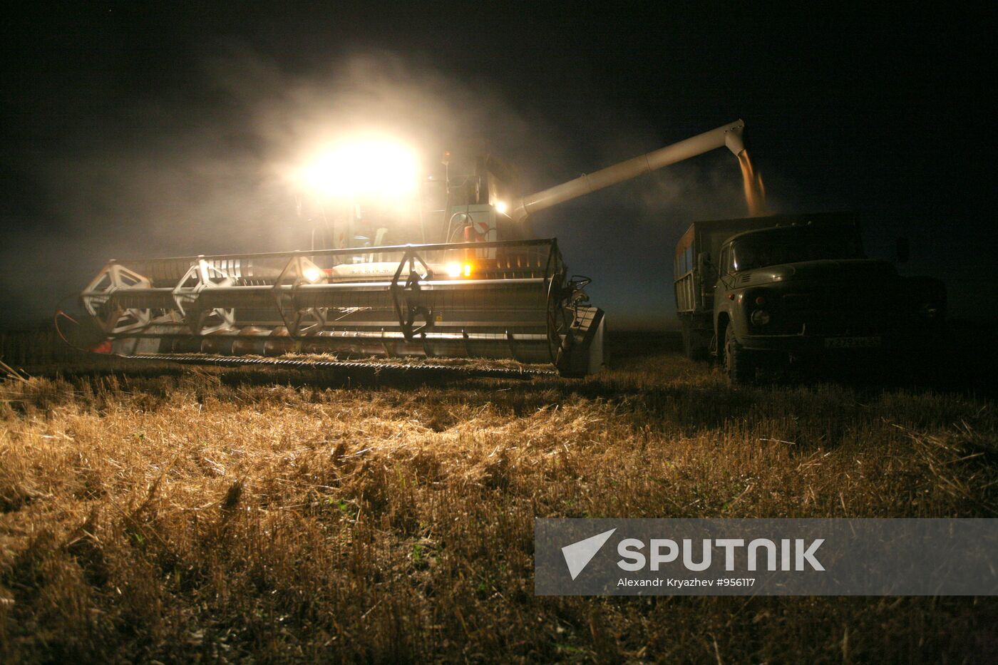 Harvesting wheat in Novosibirsk Region