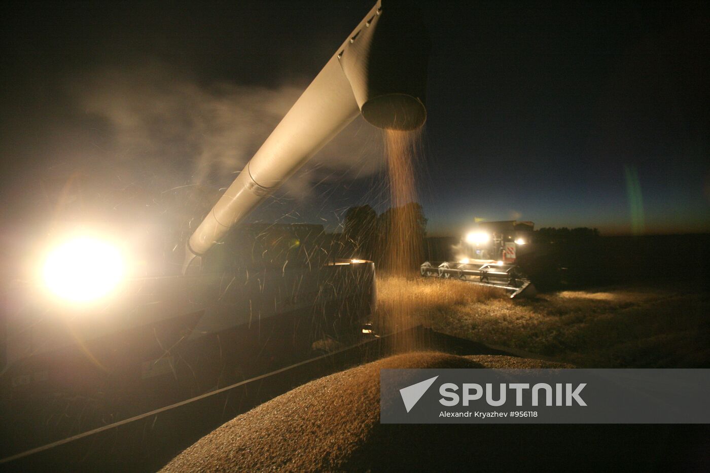 Harvesting wheat in Novosibirsk Region