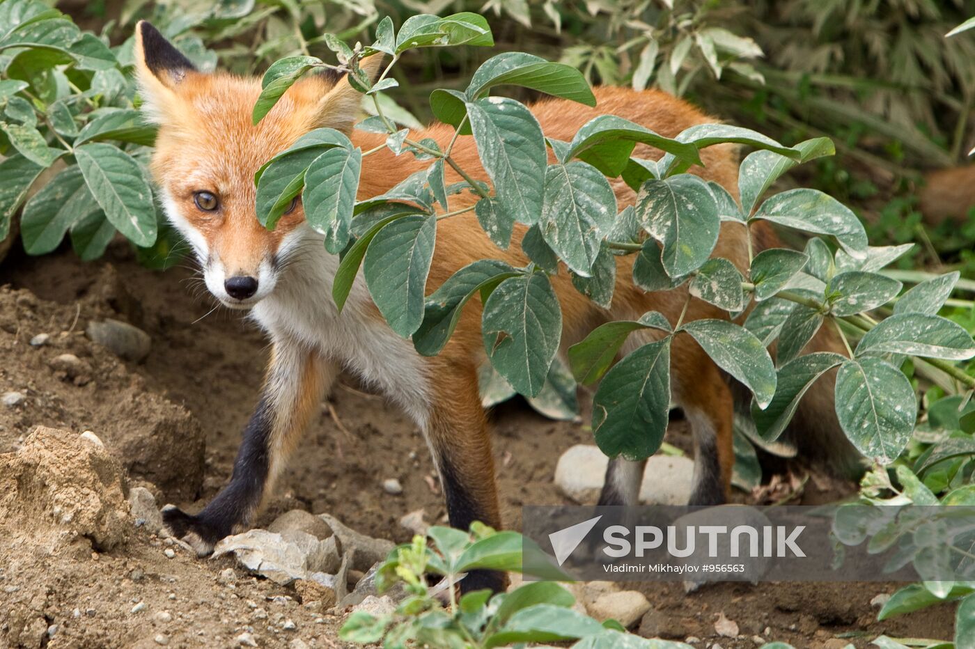 Regions of Russia: Kuril Islands, Iturup Island