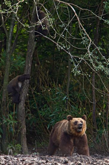 Regions of Russia. Kuril Islands. Iturup island