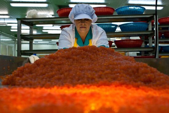 Regions of Russia. Kuril Islands. Iturup island