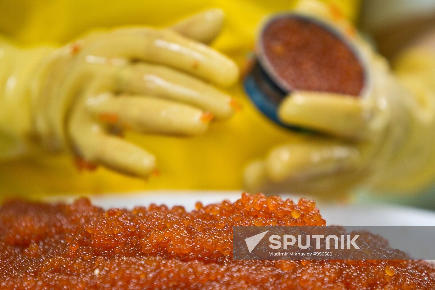 Regions of Russia. Kuril Islands. Iturup island