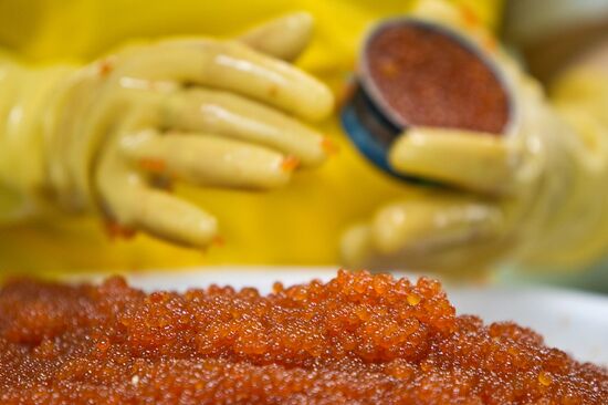 Regions of Russia. Kuril Islands. Iturup island