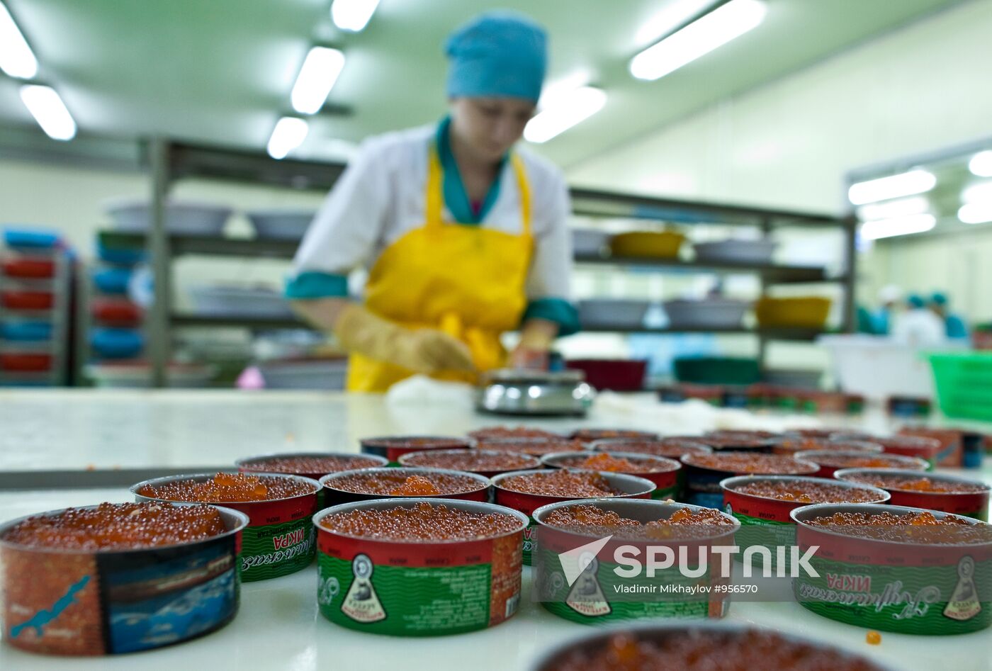 Regions of Russia. Kuril Islands. Iturup island