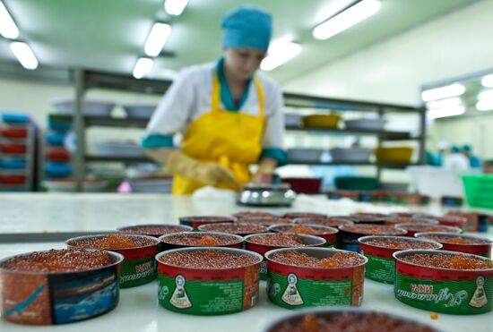 Regions of Russia. Kuril Islands. Iturup island