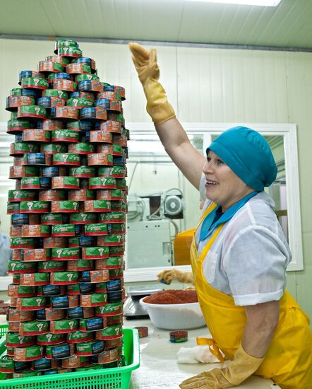 Regions of Russia. Kuril Islands. Iturup island