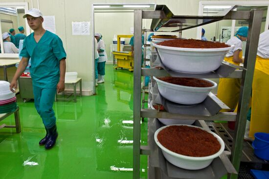 Regions of Russia. Kuril Islands. Iturup island