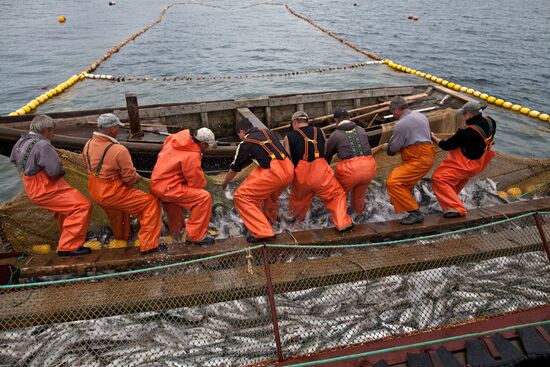 Regions of Russia. Kuril Islands. Iturup island