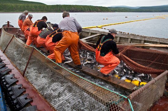 Regions of Russia. Kuril Islands. Iturup island