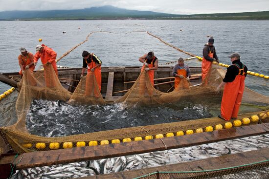 Regions of Russia. Kuril Islands. Iturup island