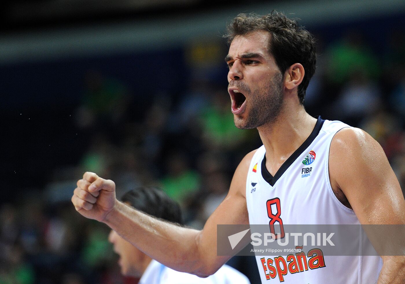 Basketball European Championships. Match Spain - Serbia