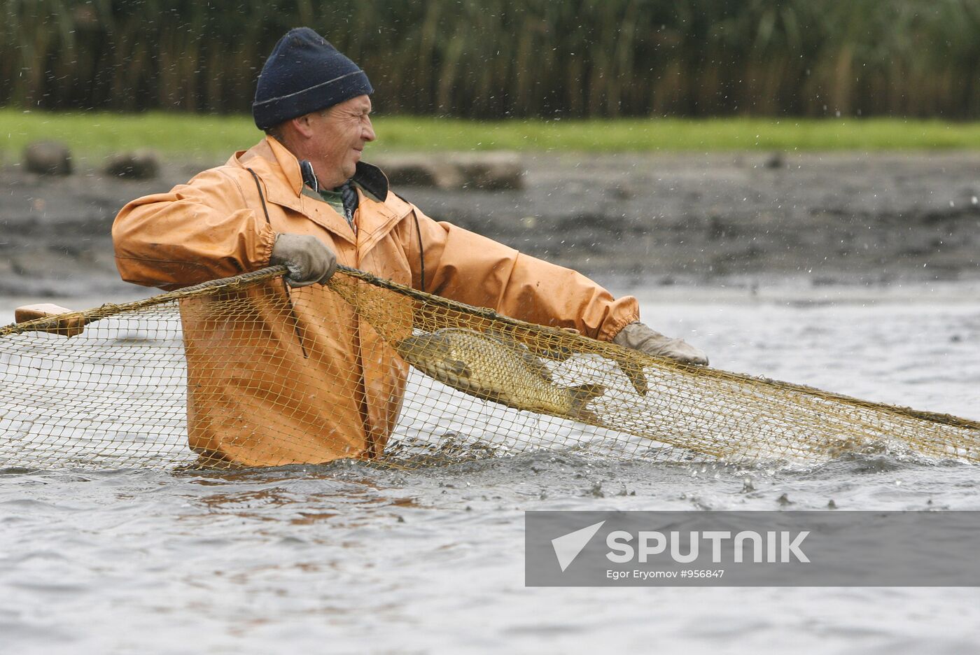 Trapping fish at the Volma fishery