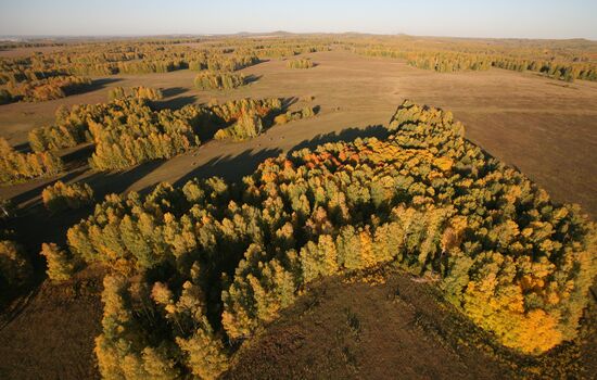 Regions of Russia. Novosibirsk Region