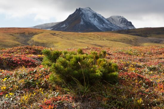 Kamchatka sights