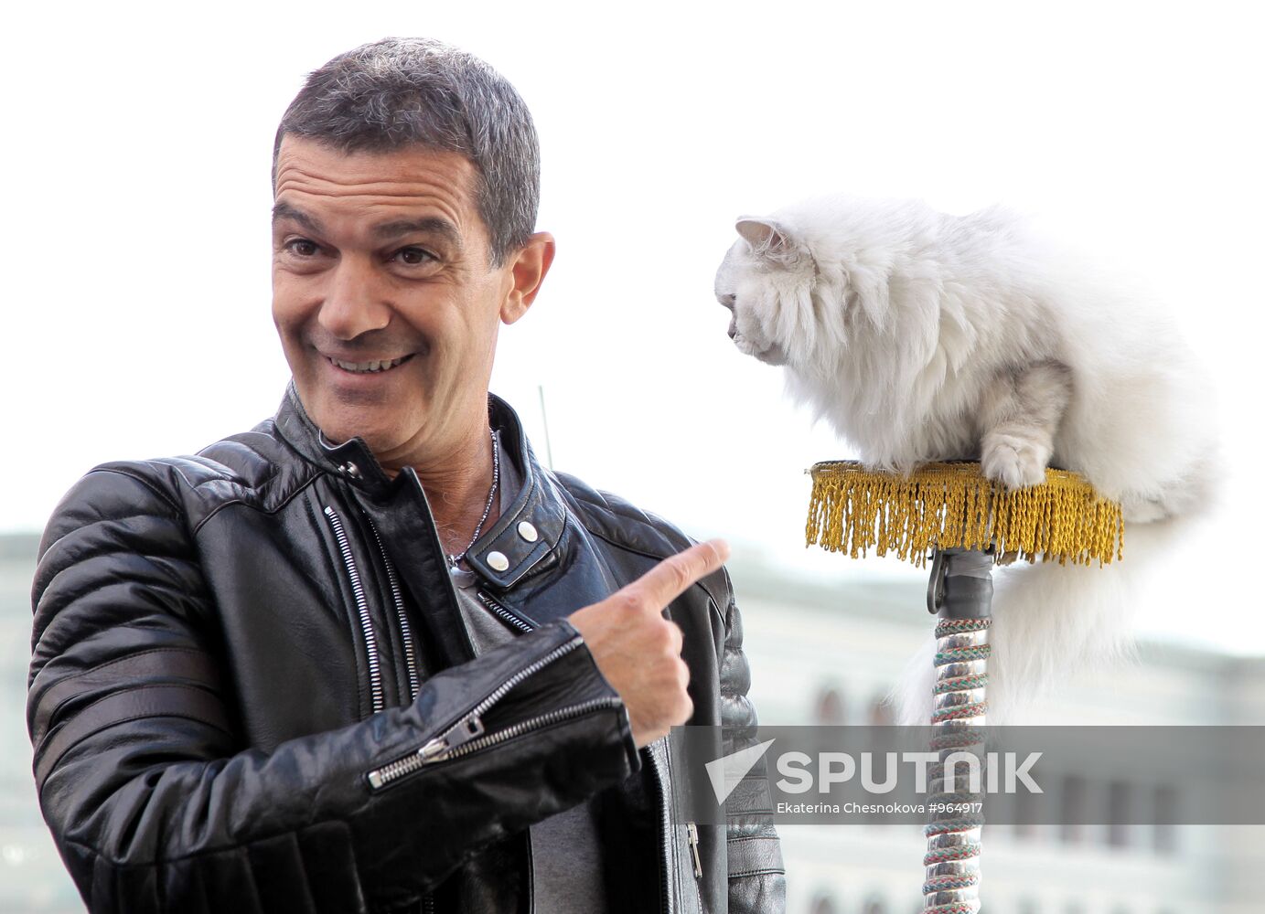 Photocall with Salma Hayek and Antonio Banderas