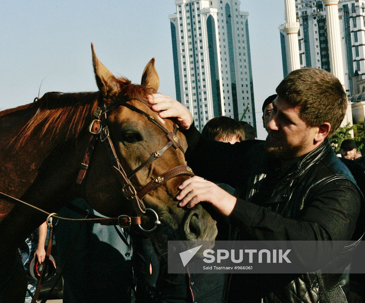 1st Horse Riding Festival opens in Grozny