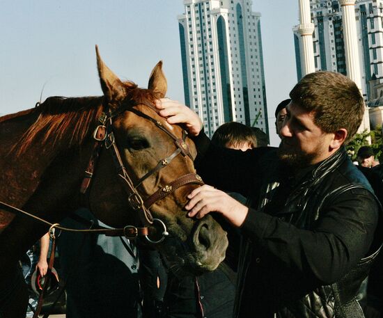 1st Horse Riding Festival opens in Grozny