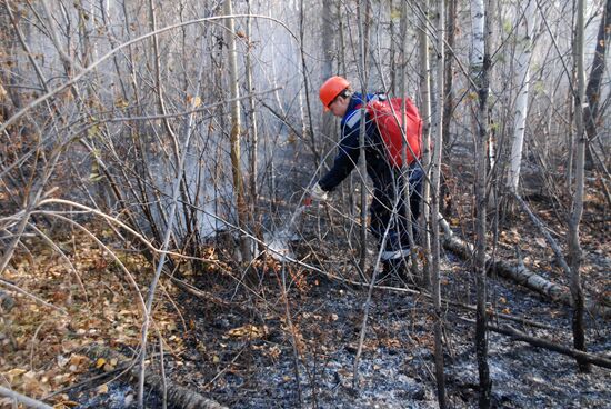 Putting out fires on Bratsk outskirts