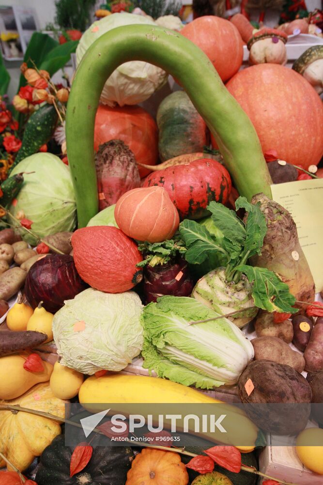 Opening of agro-industrial exhibition "Golden Autumn-2011"