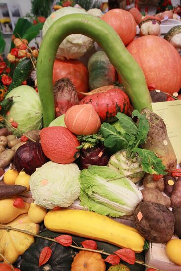 Opening of agro-industrial exhibition "Golden Autumn-2011"