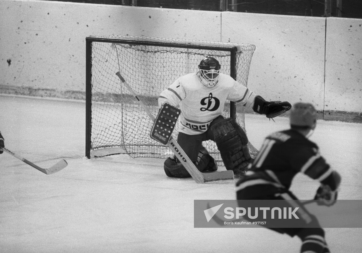 Goaltender Vladimir Myshkin