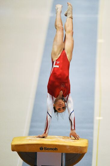 2011 Artistic Gymnastics World Championships. Day Five