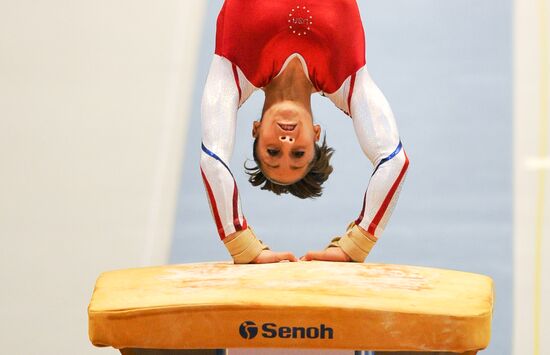 2011 Artistic Gymnastics World Championships. Day Five